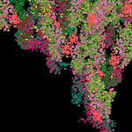 Charlotte Sparre Copenhagen Pauline 90x90 cm Scarf Black/Lime